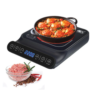 Anex AG-2166 Deluxe Hot Plate