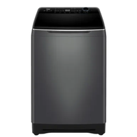 Haier HWM-200-BD2178S8 20Kg Top Load Washing Machine