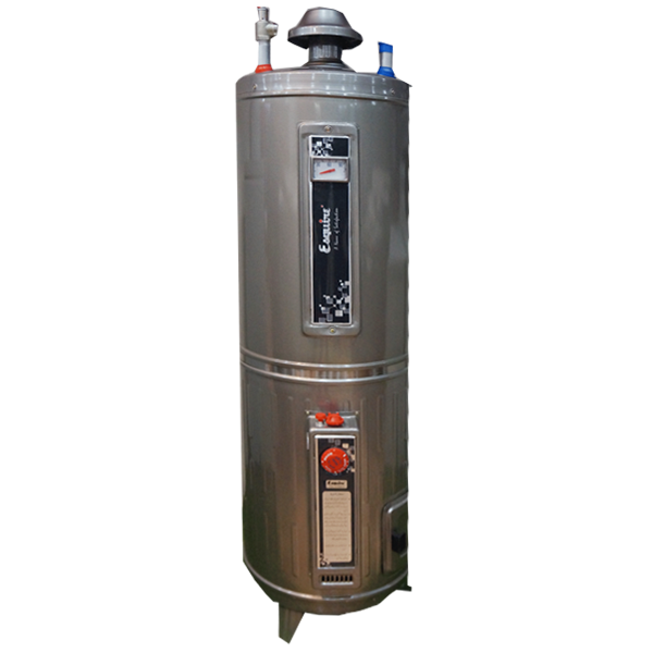 Esquire GWH 535 Electric and Gas Storage Geyser