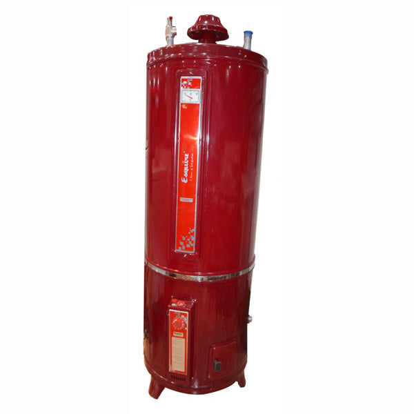 Esquire GWH 560 Electric and Gas Storage Geyser