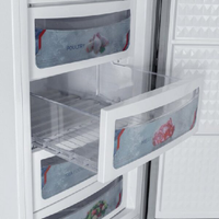 Dawlance 1035WB GD Inverter Cloud White Vertical Freezer