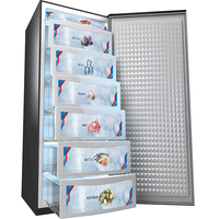 Dawlance DW-1035 GD Vertical Freezer